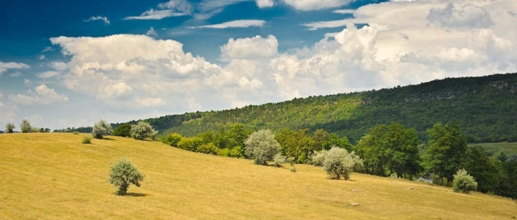 Moldova's forests are a huge draw