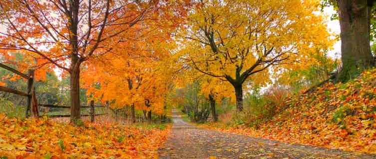 New Jersey in autumn