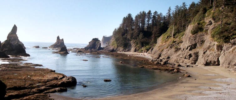 Olympic National Park coastline