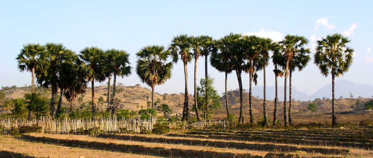 Osolata, East Timor