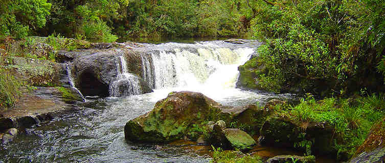 Parque Estadual, Sao Paulo