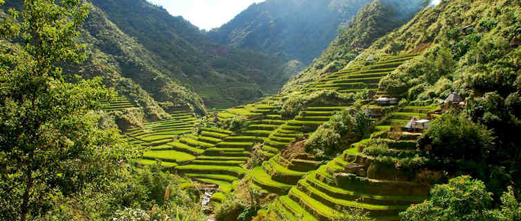 Philippines rice terraces