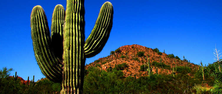 Phoenix, Arizona