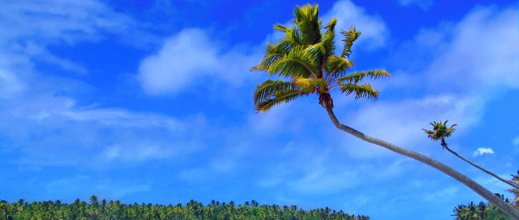 Pristine beach in the Cook Islands