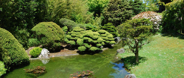 San Francisco Botanical Gardens