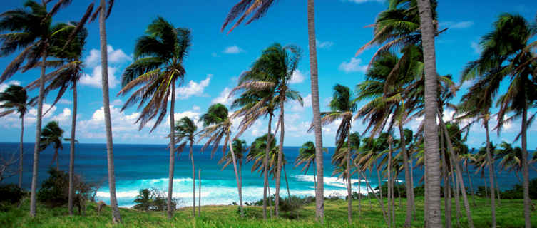 Sandy Bay Beach, St Kitts