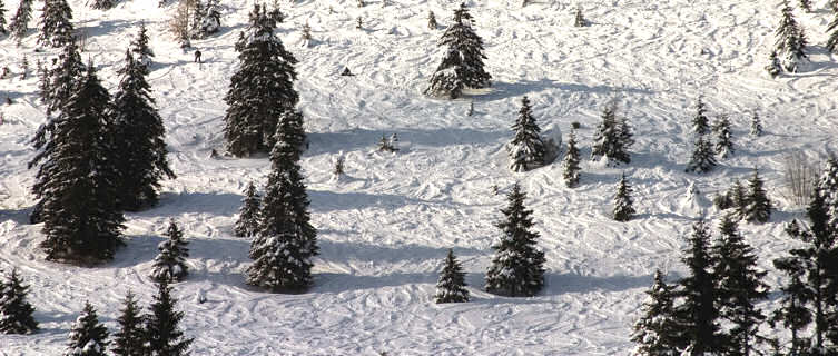 Scottish ski tracks