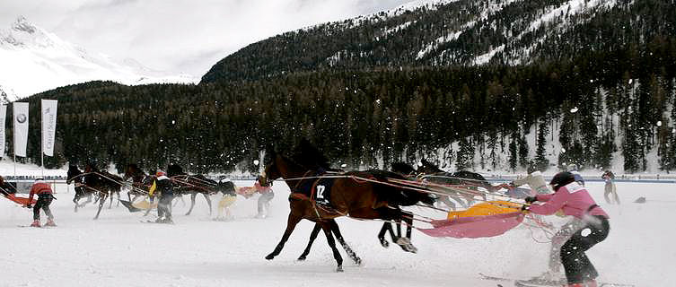 Skijoring, St Moritz