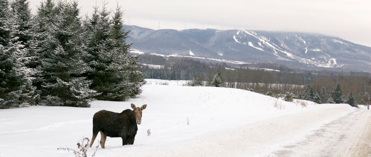 Skiing in Maine