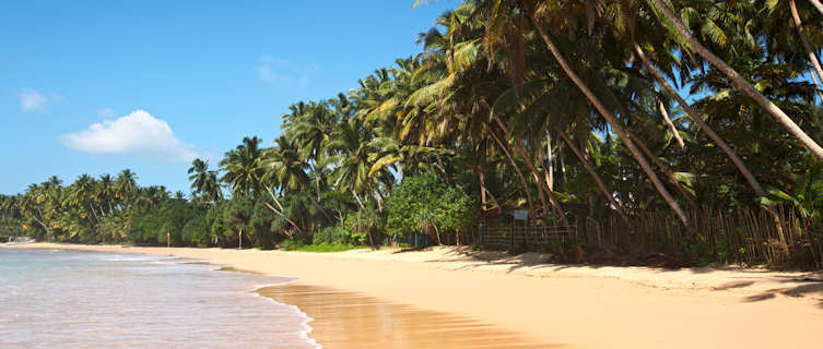 Sri Lanka has beautiful beaches