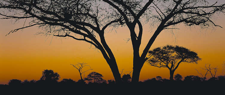 Sunset at Hwanga National Park