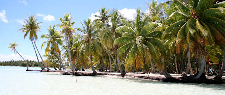 Tahiti Motu Picnic