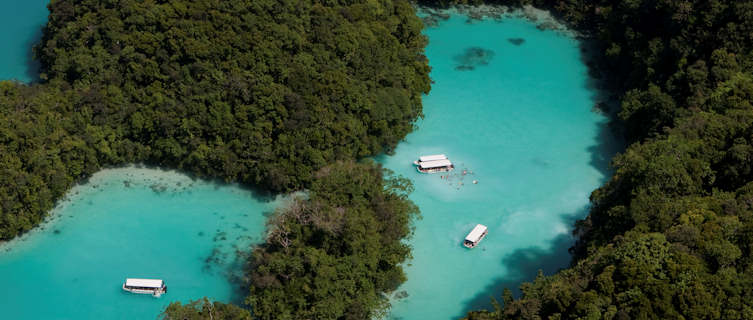 The Milky Way in Palau