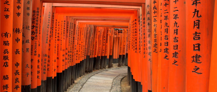 Torii gates at Fushimi Inari Shrine, Kyoto, Japan