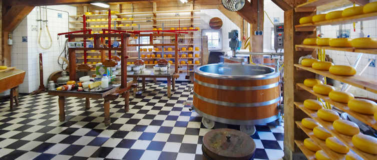 Traditional cheese farm, Netherlands