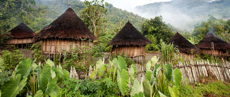 Traditional huts, Papua New Guinea