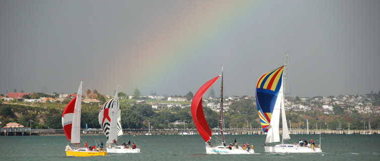 Waitemata harbour yachts, Wellington