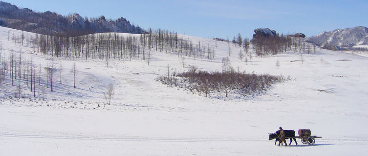 Winter in Gorkhi-Terelj National Park