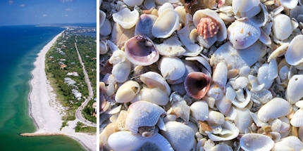 Go shelling on Sanibel Island's beaches