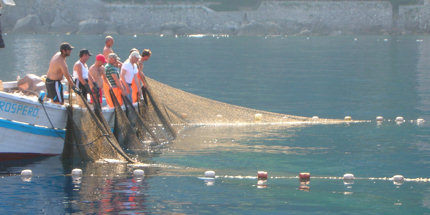 Camogli fisherman use 500-year-old sustainable methods 