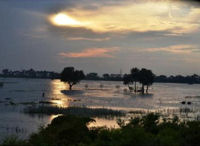 Witness the glories of the Indian countryside whilst travelling by train