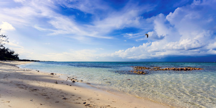 Turks and Caicos is home to some of the world's most beautiful beaches